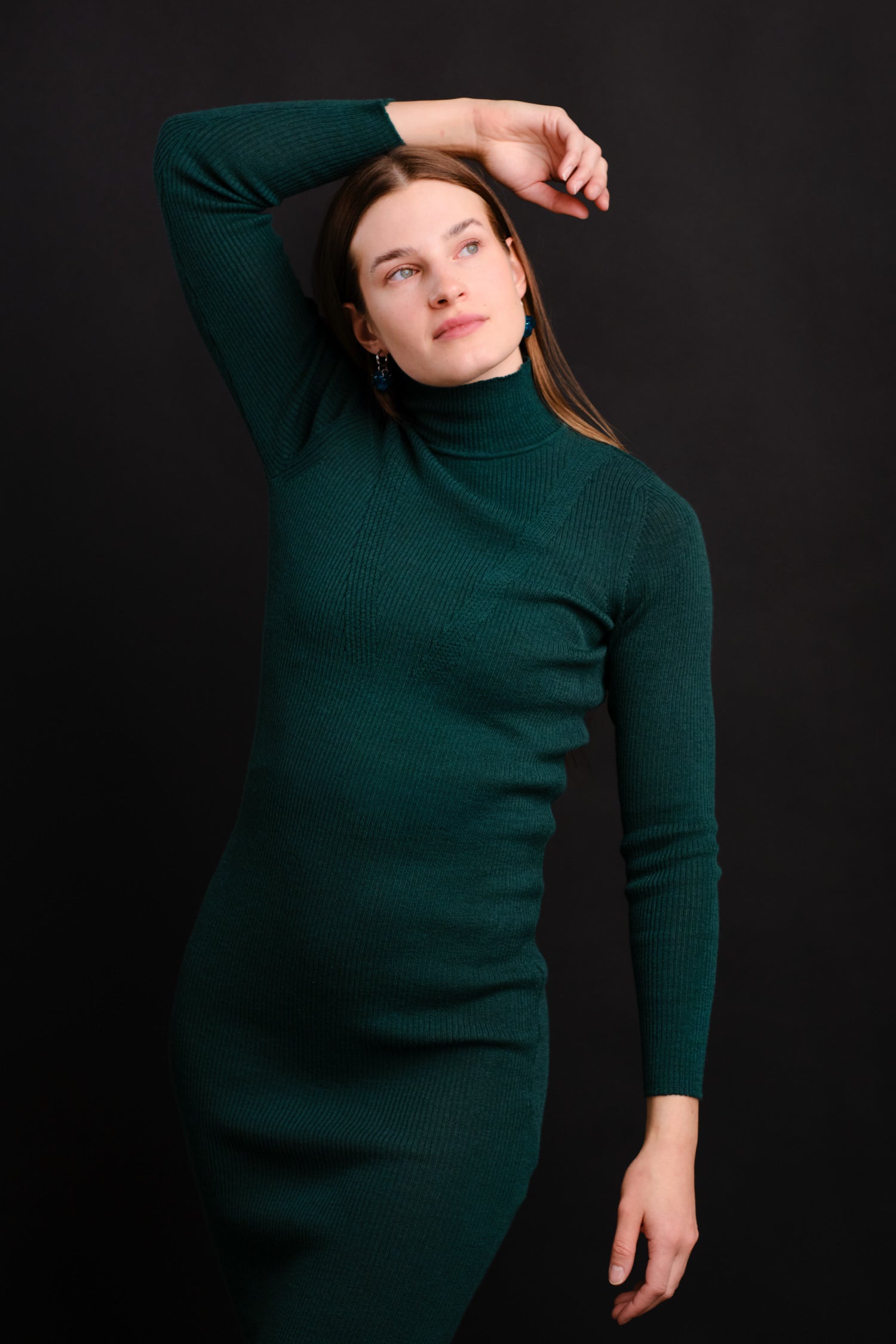 Stripe Turtleneck Dress Deep Green