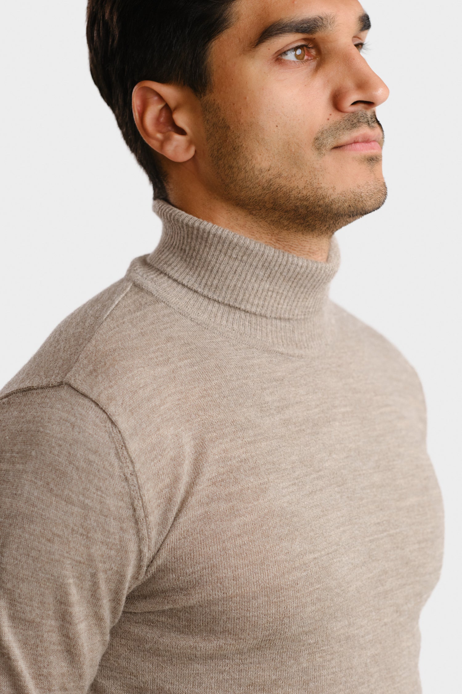 Turtleneck Greige Roll Neck
