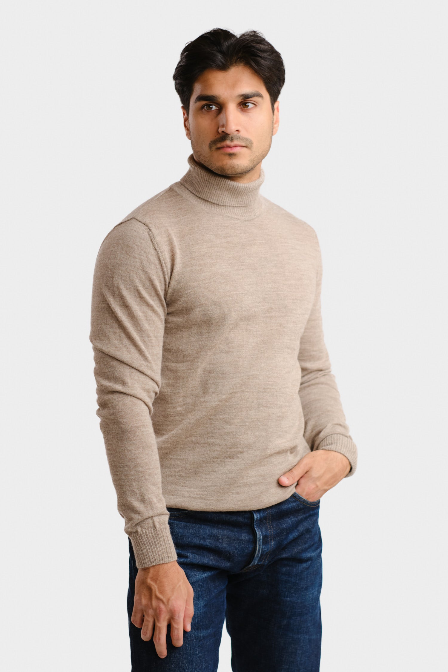 Turtleneck Greige Roll Neck