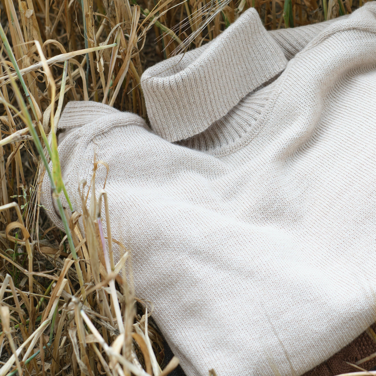 Off-white alpaca wool knit lying on dry grass