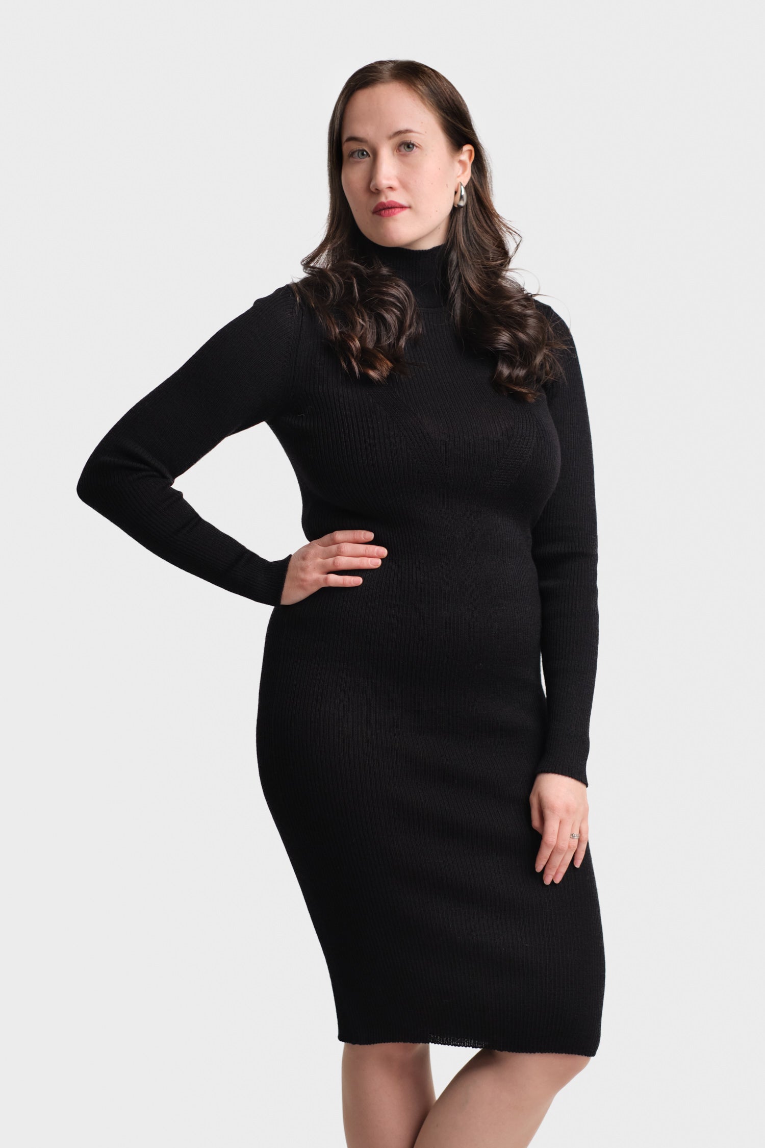 Stripe Turtleneck Dress Black